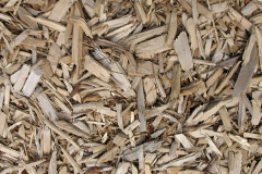 biomass boilers Llanyblodwel